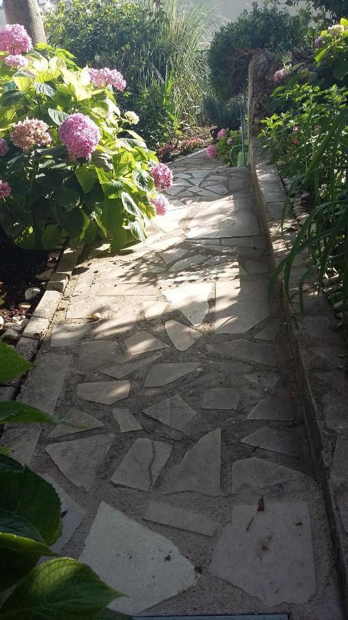 מאקרסקה Apartment D&M1 מראה חיצוני תמונה